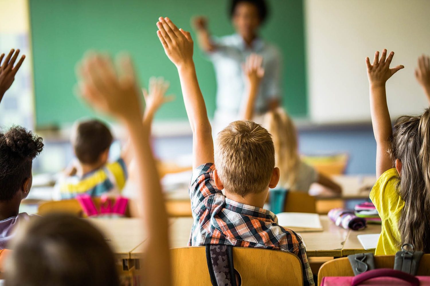 Rear view of large group of students raising their hands to answer the question on a class at elementary school.